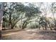 Sunlit lot with mature trees provides a tranquil, secluded atmosphere for a custom home in a desirable location at 3480 Johan Blvd, Johns Island, SC 29455