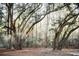 Lush wooded lot with mature trees offers privacy and a serene natural setting, perfect for building a dream home at 3480 Johan Blvd, Johns Island, SC 29455