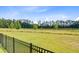 Large backyard, bordered by a black fence, presents a serene setting with mature trees in the distance at 357 Parish Farms Dr, Summerville, SC 29486