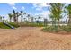 Community playground with slides, climbing structures, and lush landscaping at 357 Parish Farms Dr, Summerville, SC 29486