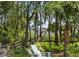 Scenic backyard with lush greenery, trees, and a wooden walkway leading to the waterfront at 627 Barbados Dr, Charleston, SC 29492