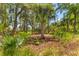 Lush backyard with mature trees, vegetation, and mulch ground cover at 627 Barbados Dr, Charleston, SC 29492