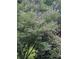 A chaste tree with purple flowers in bloom at 7274 Commodore Rd, Hollywood, SC 29449