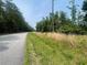 Scenic view of undeveloped land, presenting a peaceful, roadside location at 0 Peirce Rd, Ridgeville, SC 29472