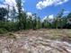 Cleared land showcasing a promising building site surrounded by lush trees and clear blue skies at 0 Peirce Rd, Ridgeville, SC 29472