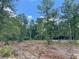 An undeveloped and picturesque plot of land is surrounded by towering trees at 0 Peirce Rd, Ridgeville, SC 29472