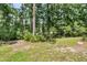 The backyard offers mature landscaping and a lush green lawn that meets the edges of a dense, wooded area at 1682 Camfield Ln, Mount Pleasant, SC 29466