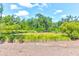 Community tennis courts surrounded by lush trees, offering a great outdoor recreational space for residents to enjoy at 1888 Nola Run, Summerville, SC 29485