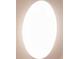 Ceiling light fixture provides bright light to a room at 2703 Scarlett Maple St, Summerville, SC 29486