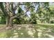 Large, grassy backyard featuring mature trees, providing ample shade and creating a serene outdoor space at 3513 Flowering Oak Way, Mount Pleasant, SC 29466