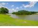 Scenic pond view with lush green grass and mature trees in a tranquil, idyllic community setting at 3524 Great Egret Dr, Johns Island, SC 29455