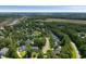 Aerial view of neighborhood with lush trees and a picturesque pond at 3574 Toomer Kiln Cir, Mount Pleasant, SC 29466