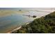 Scenic aerial view of a coastal landscape with winding roads and water views at 3798 Sawmill Ct, Mount Pleasant, SC 29429