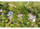 Aerial view of a property at 40 Greensward nestled among lush trees with a private pool at 40 Greensward Rd, Kiawah Island, SC 29455