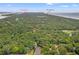 Aerial view of property at 40 Greensward near the Sanctuary surrounded by lush trees at 40 Greensward Rd, Kiawah Island, SC 29455