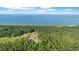 Stunning aerial view of property surrounded by dense forest and beautiful lake in the background at 400 Black Oak Rd, Bonneau, SC 29431