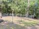 View of the backyard, with its well-maintained fence and mature trees at 4589 Prices Bridge Ln, Walterboro, SC 29488