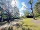 Picturesque backyard with trees and a covered shelter, perfect for outdoor gatherings at 4589 Prices Bridge Ln, Walterboro, SC 29488