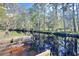 Creek running along property line, surrounded by lush foliage and mature trees offering privacy at 4589 Prices Bridge Ln, Walterboro, SC 29488
