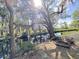 Scenic creek view featuring Spanish moss draped trees and sunlit water at 4589 Prices Bridge Ln, Walterboro, SC 29488