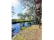 Scenic view of a tranquil creek lined with trees, Spanish moss, and lush vegetation at 4589 Prices Bridge Ln, Walterboro, SC 29488