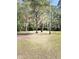 Picturesque view of the lush land with mature trees and a peaceful atmosphere at 4589 Prices Bridge Ln, Walterboro, SC 29488