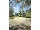 A pristine view of the land under a clear sky lined with trees and a small storage unit at 4589 Prices Bridge Ln, Walterboro, SC 29488