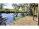 Picturesque creek view with water reflections and sunlit trees, offering serene privacy at 4589 Prices Bridge Ln, Walterboro, SC 29488