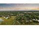 Breathtaking aerial view of a vast, tree-filled neighborhood with winding waterways and marshland at 510 Traders Aly, Mount Pleasant, SC 29464
