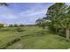 Expansive backyard view featuring lush greenery and natural marshland at 633 Stono Edge Dr, Charleston, SC 29412