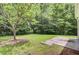 Backyard featuring mature trees and a concrete patio at 810 Bibury Ct, Charleston, SC 29414