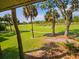 Scenic golf course view featuring palm trees and lush greens seen through a screened-in window at 837 Club Cottage Rd, Edisto Island, SC 29438