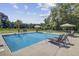 Large, inviting backyard swimming pool surrounded by lush landscaping and lounge chairs at 138 Brant Acres Ln, Bonneau, SC 29431