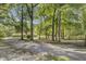Long driveway leading to a home surrounded by mature trees and lush greenery at 138 Brant Acres Ln, Bonneau, SC 29431