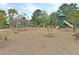Fun playground with climbing structure, slides, and swings, offering a safe and engaging space for children to play at 1636 Rivertowne Country Club Dr, Mount Pleasant, SC 29466