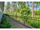 Spacious backyard with black metal fence, lush green landscaping, and tall, mature trees at 1641 Adventure Xing, Mount Pleasant, SC 29466