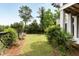 Green backyard featuring a well-maintained lawn with various trees and bushes at 1878 Headquarters Plantation Dr, Johns Island, SC 29455