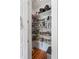 Walk-in pantry with ample shelving and storage space at 1878 Headquarters Plantation Dr, Johns Island, SC 29455