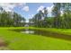 Scenic backyard with a pond, lush grass, and mature trees, offering a tranquil setting at 217 Quimby Hill Dr, Huger, SC 29450