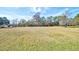 Expansive open yard with outbuildings and mature trees at 4715 Highway 165, Meggett, SC 29449