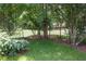 Serene backyard with a wrought iron fence, lush greenery, and well-maintained lawn, perfect for outdoor activities at 5008 Northfield Ct, Charleston, SC 29414