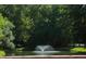 Community pond with a fountain surrounded by lush greenery and trees at 5008 Northfield Ct, Charleston, SC 29414