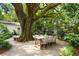 Outdoor dining area under a mature tree, perfect for entertaining guests at 509 Klein St, Mount Pleasant, SC 29464