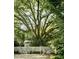 Scenic backyard featuring a majestic tree, a white picket fence, a shed, and two stylish vintage bicycles at 509 Klein St, Mount Pleasant, SC 29464