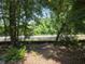 Backyard featuring mature trees and foliage, offering a peaceful and secluded outdoor space at 6385 Sc-162, Hollywood, SC 29449