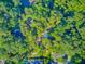 Overhead aerial view of a wooded homesite with mature trees providing great privacy at 7074 W Constellation Dr, North Charleston, SC 29418