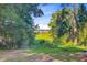 View of the waterway from the backyard with lush greenery and mature trees at 7074 W Constellation Dr, North Charleston, SC 29418