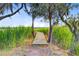 A view of a small wooden dock surrounded by tall grass and trees with water in the background at 7074 W Constellation Dr, North Charleston, SC 29418