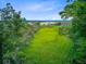A marsh view beyond the trees with lush greenery and open sky above at 7074 W Constellation Dr, North Charleston, SC 29418