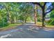 Street view on a quiet street, surrounded by mature trees, and lush landscaping at 7074 W Constellation Dr, North Charleston, SC 29418